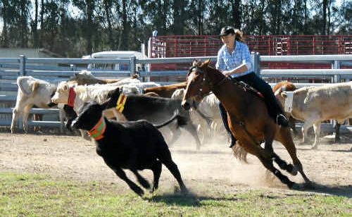 Jodie Griffiths and her gal pals in the Screamers stir up the Macksville dust. Jodie Griffiths and her gal pals in the Screamers stir up the Macksville dust.